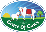 support@graceofcows.in